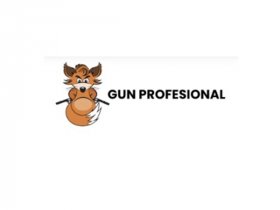 Gun Profesional