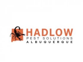 Hadlow Pest Solutions Albuquerque