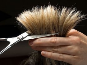 Haircutting and Texturizing