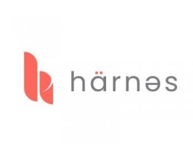 Harnes Singapore Private Limited