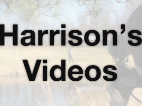 Harrison's work
