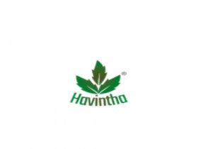 Havintha