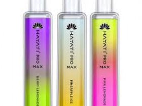 hayati pro max 4000 puffs box of 10