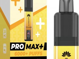 hayati pro max plus 6000 box of 5