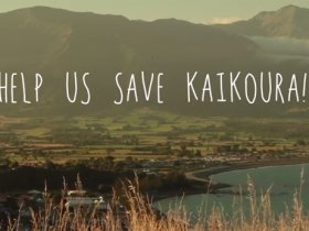 Help Save Kaikoura