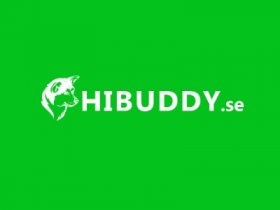 Hi Buddy Sweden AB