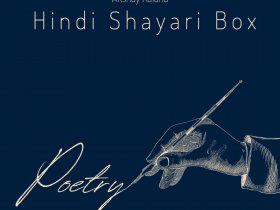 Hindi Shayari Box