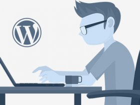 Hire Wordpress Developer