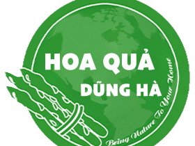 Hoa quả sạch Dũng Hà