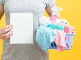 House Cleaning Checklist By Pros