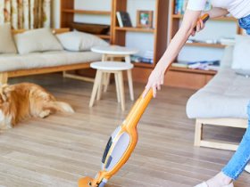 House Cleaning Hacks For Pet Owners