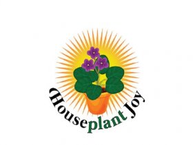 House Plant Joy