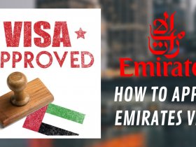 How to Apply Emirates E Visa Online