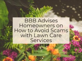 How To Avoid Lawn Services Scam