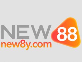 Huấn Hoa Hồng - CEO - NEW88