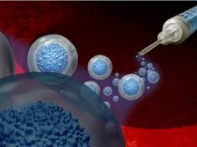 Human Cellular Tissue Therapy