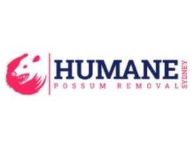 Humane Possum Removal Sydney