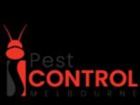 I Moth Control Melbourne