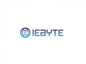 iebyte