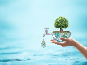 Importance of Water Conservation