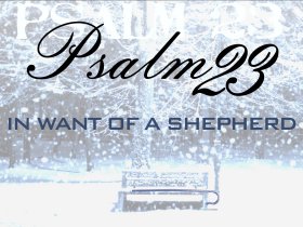 In Want of a Shepherd