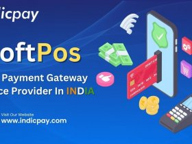 Indicpay Mobile payments with SoftPOS