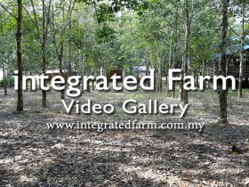 Integrated Farm