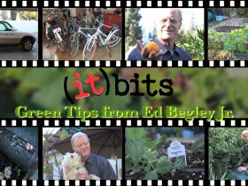 (it) Bits | Green Tips from Ed Begley Jr