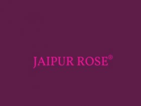 Jaipur Rose
