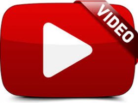 Artists Videos