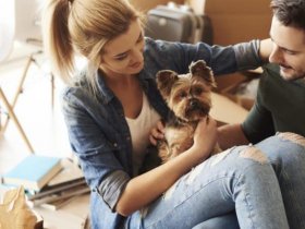 Keep Pets Safe on Moving Day