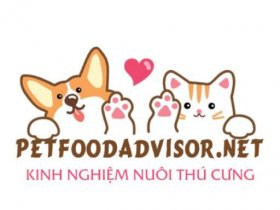 Kinh nghiệm nuôi thú cưng