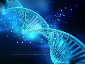 LA GENETICA: LE MUTAZIONI E IL DNA