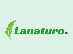 Lanaturo