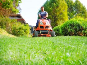 Lawn Mowing, Care & Maintenance