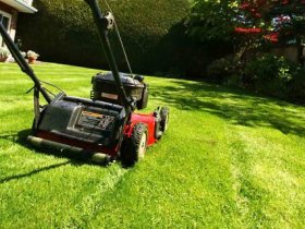 Lawn Mowing Woden Valley