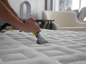 Lotus Mattress Cleaning Sydney