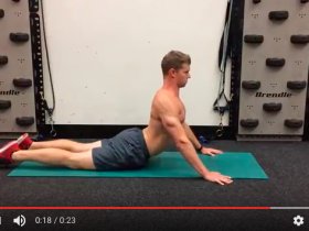 Low Back Mobility Exercises