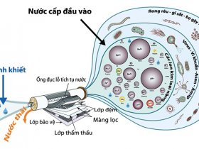 Máy lọc nước Kitz