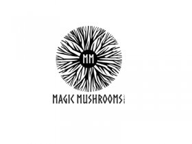 magicmushrooms com