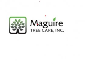 Maguire Tree Care, Inc