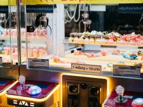 Massey Pest Control Adelaide