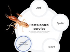 Max Pest Control Sydney