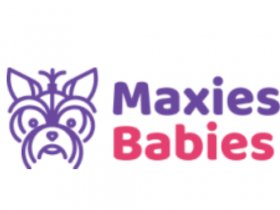 Maxine's Puppies