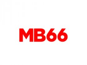 Mb66