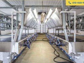 Milking Parlour for Dairy Cattle