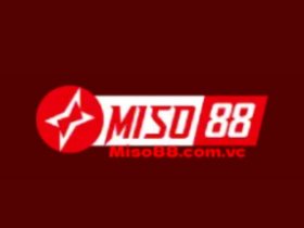 Miso88