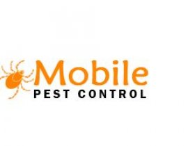 Mobile Possum Removal Brisbane