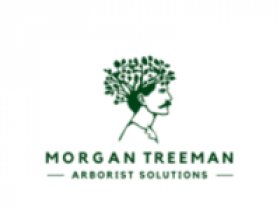 Morgan Treeman Arborist Solutions