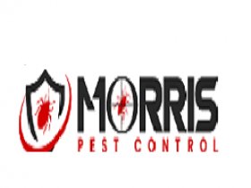 Morris Cockroach Control Perth
